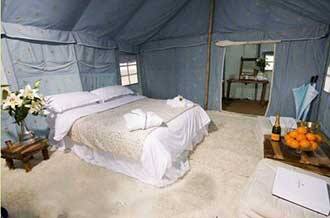 Guler Heritage Nature Camp, Kangra 3